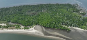 Mangrove Telaga Tujuh