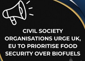 Biofuelwatch